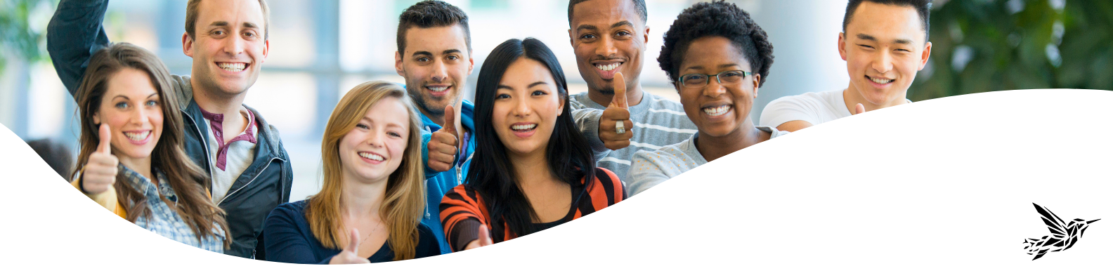 Banner – 2025-10-11T152852.557 Banner - 2025-10-11T152852.557